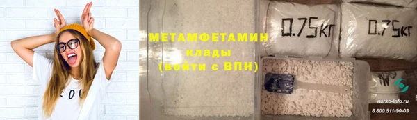 шишки Бородино