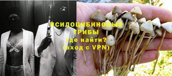 стафф Бронницы