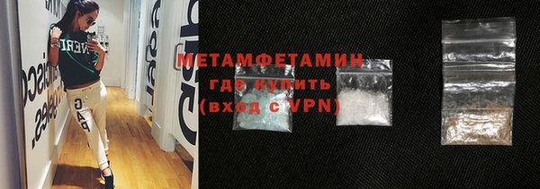шишки Бородино