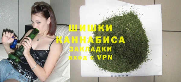 шишки Бородино